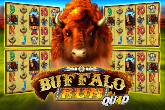 08848 buffalo run quad