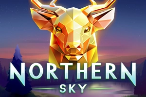 18856 northern sky