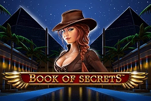 23554 book of secrets