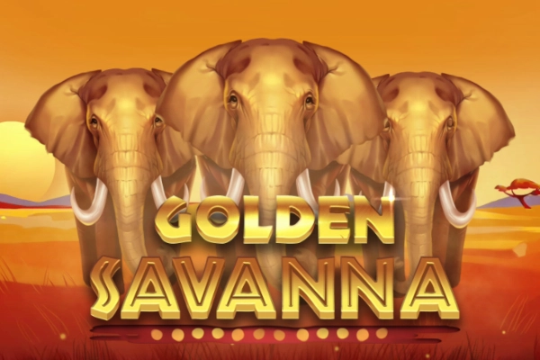 25228 golden savanna